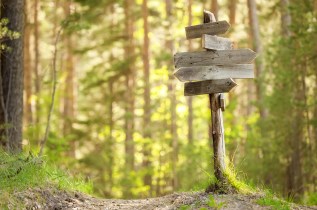 shutterstock_197127866