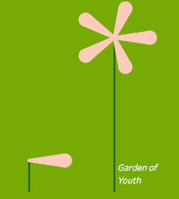 Screen Shot 2019-01-19 at 1.29.01 PM.png