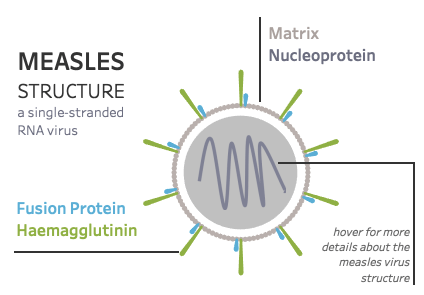 Screen Shot 2019-05-06 at 10.03.58 AM.png