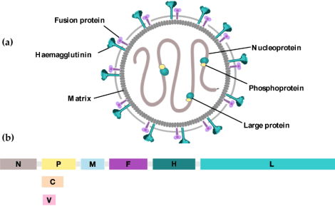 Screen Shot 2019-05-06 at 9.22.46 AM.png