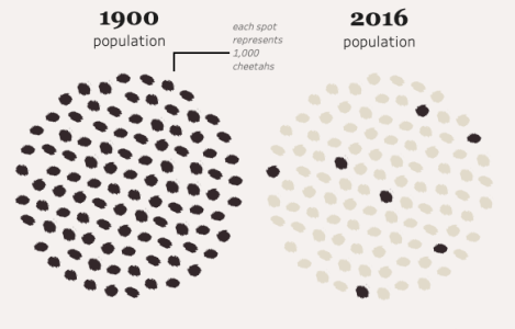 Screen Shot 2019-05-11 at 3.00.01 PM