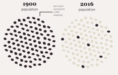 Screen Shot 2019-05-11 at 3.00.01 PM