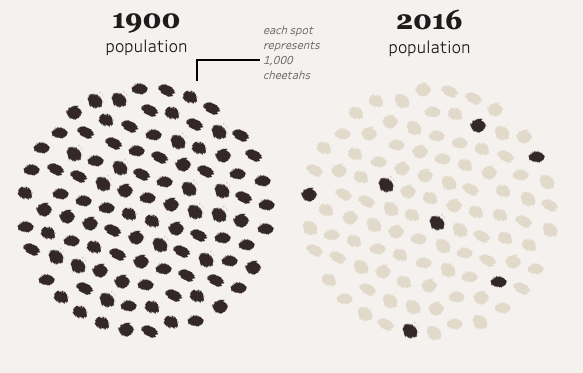 Screen Shot 2019-05-11 at 3.00.01 PM.png