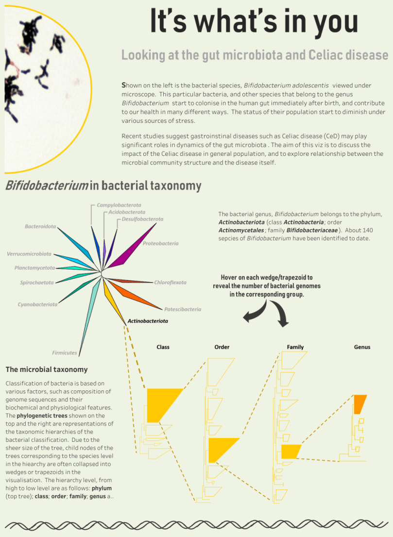 project_health_viz_celiac_disease